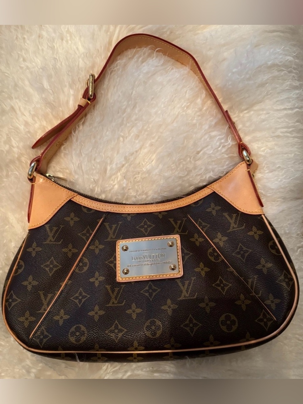 Louis Vuitton Monogram Thames bag